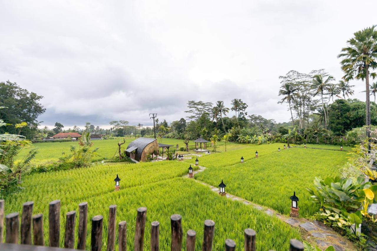 Anumana Village Ubud Exterior foto