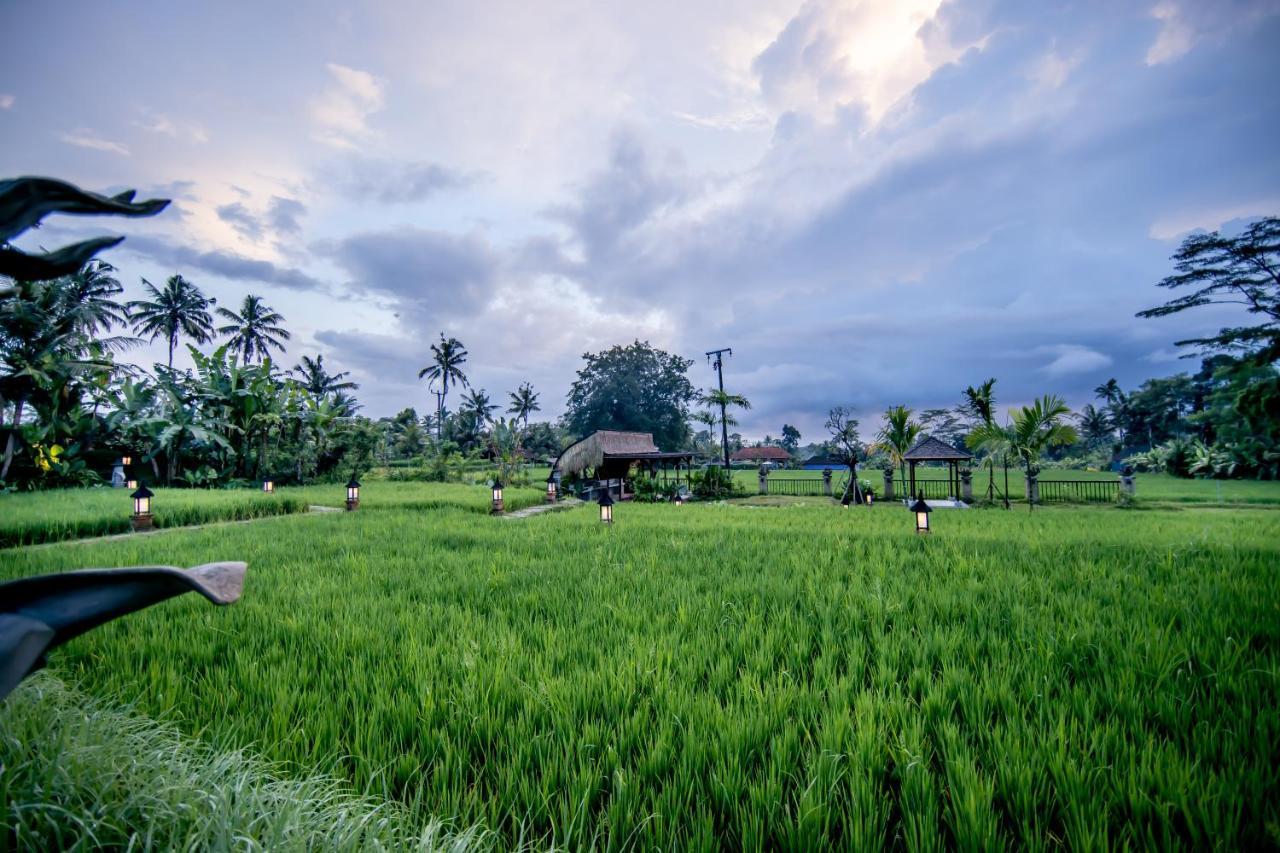 Anumana Village Ubud Exterior foto