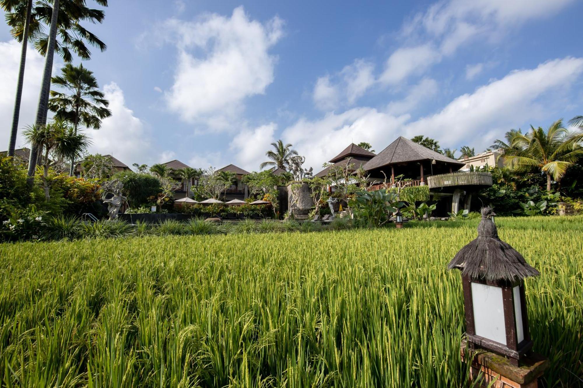 Anumana Village Ubud Exterior foto